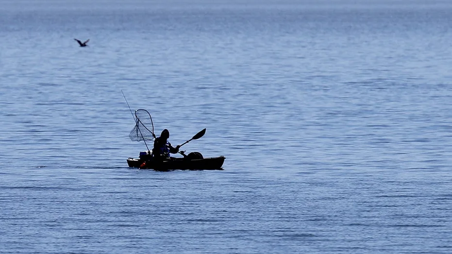 Fisherman Bitten Twice in Shark Encounter Off Malibu Coast